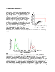 Expression of GFP correlates with expression of TLR2