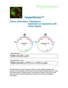 ImpactVector 1 - 艾特克生物科技股份有限公司, A