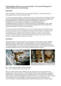 Fungi in Buildings: Holistic Conservation and Health