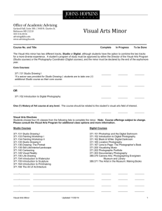 Visual Arts Minor Checklist