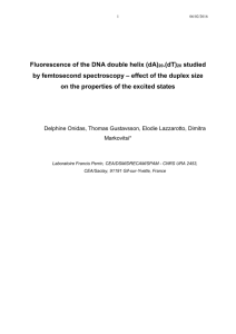 Fluorescence properties of the DNA double helix studied by
