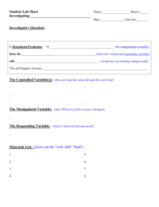 Blank Investigation Template