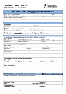 Directors-Professional Experience Report Form