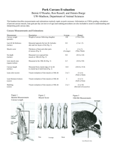 Carcass Measurements and Estimations