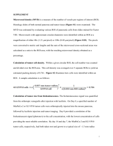 Morphological instability and cancer invasion