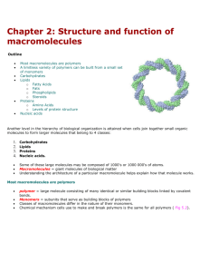 Chapter 2 Structure and function of macromolecules - An