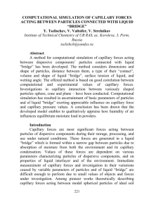 computational simulation of capillary forces acting between particles