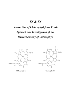 Extraction of Chlorophyll from Fresh Spinach
