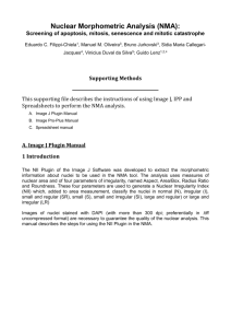 Nuclear Morphometric Analysis (NMA):