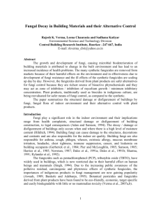Chemical Control of Fungal Decay in Buildings