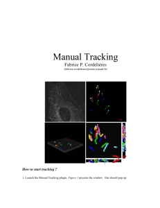 Manual Tracking User Guide