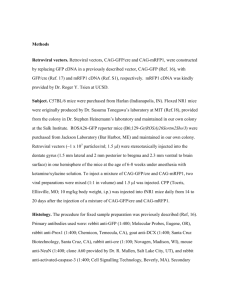 Supplementary Methods - Word file (30 KB )