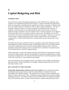 Capital Budgeting and Risk
