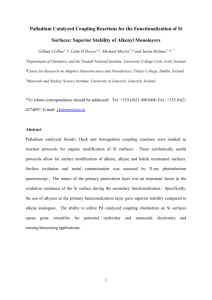 Palladium Catalyzed Coupling Reactions for the Functionalization of