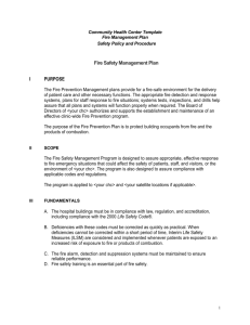 executive summary fire management plan template