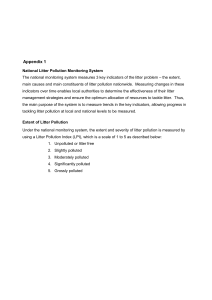 Appendix 1 - Department of Environment and Local Government