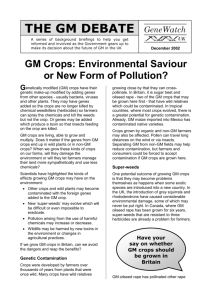 GM Crops - Environmental Saviour or New Form of Pollution?