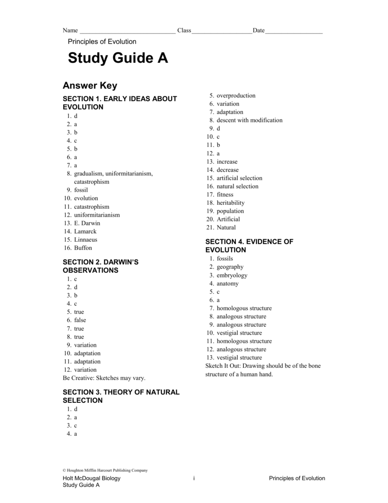 Chapter 10 Study Guide A