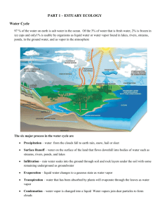 PART 1 – ESTUARY ECOLOGY Water Cycle 97 % of the water on