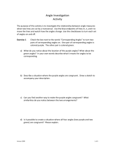 Angle Investigation Activity 2.0