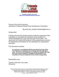 Friends of the Irish Environment Submission