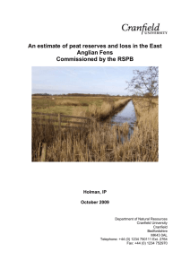 Cranfield_RSPB_Fenland peat assessment_Final 2009