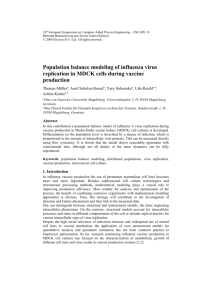 Population Balance Modeling of Influenza Virus Replication in