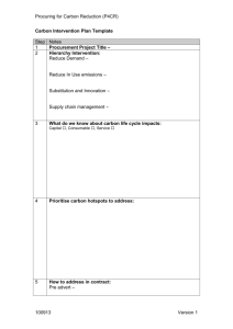 Carbon Intervention Plan Template