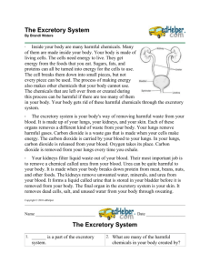 The Excretory System By Brandi Waters 1 Inside your body are