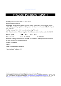 periodic1-periodic-report_rnk - CORDIS