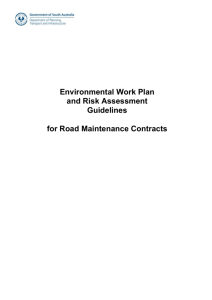 Environmental Work Plan and Risk Assessment Guidelines for Road