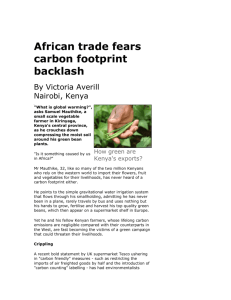 African trade fears carbon footprint backlash