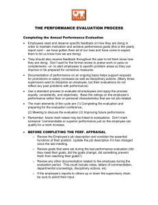 the performance evaluation process