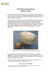 The Physics of Coconuts - Science and Plants for Schools