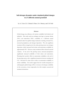 Soil nitrogen availability under simulated global changes in a