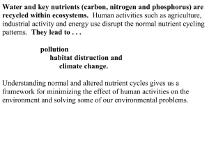 04 KM Lecture - NutrientCycles