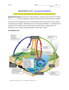 Biogeochemical Cycles Packet