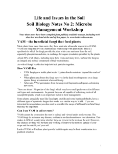 Life and Issues in the Soil (Workshop Note 2)