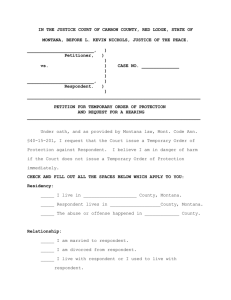 Protection Order Application