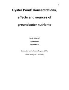 Concentrations, effects and sources of groundwater nutrients