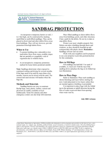 Sandbag Protection