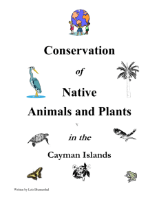 conservation of native animals and plants in the cayman islands