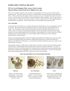 FOSSIL EDUCATIONAL DIG KITS