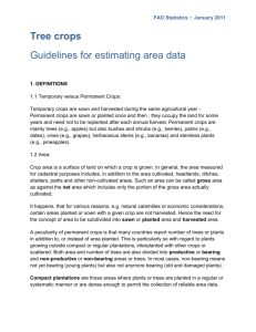 Tree crops- guidelines for estimating area data