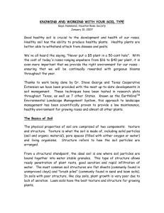 IDENTIFYING YOUR SOIL TYPE