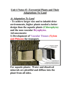 Unit 4 Notes #3 :Terrestrial Plants and Their Adaptations To Land