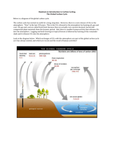 Student Handout_2 - Intro to Carbon Cycling
