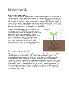 Carbon Sequestration in Soils