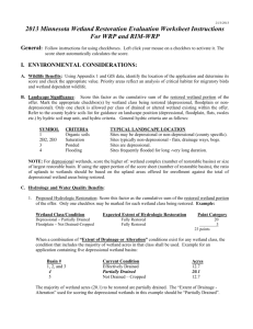 Evaluation Worksheet Instructions - Minnesota Board of Water and