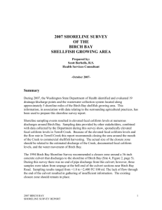 BB Shoreline Survey Report 2007